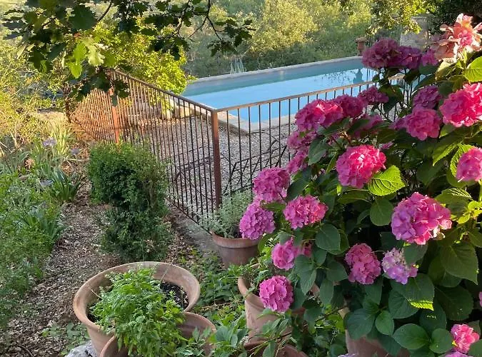 Le Petit Mas Oda ve Kahvaltı