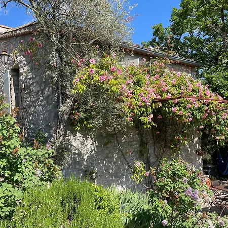 Le Petit Mas Bed & Breakfast Vogue